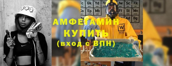 хмурый Гусь-Хрустальный