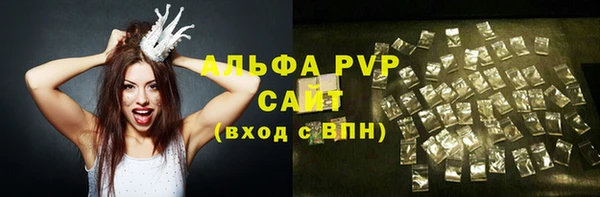 хмурый Гусь-Хрустальный