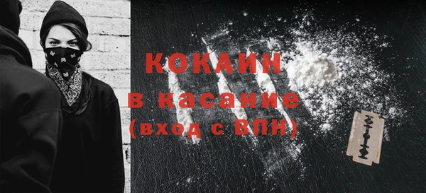 хмурый Гусь-Хрустальный
