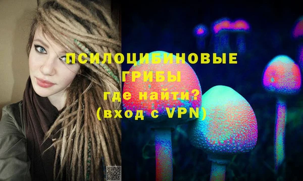дмт Заводоуковск