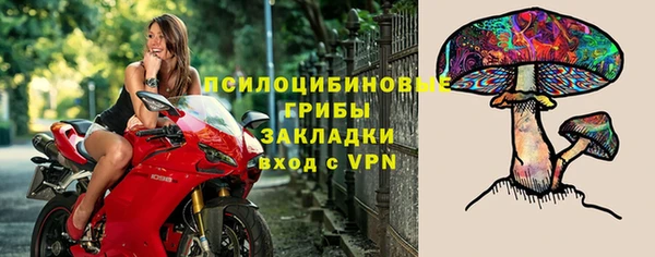 mix Ельня