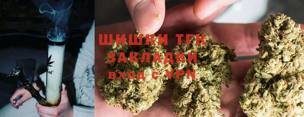 хмурый Гусь-Хрустальный