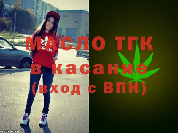хмурый Гусь-Хрустальный