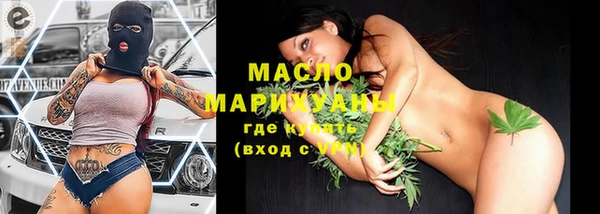 хмурый Гусь-Хрустальный